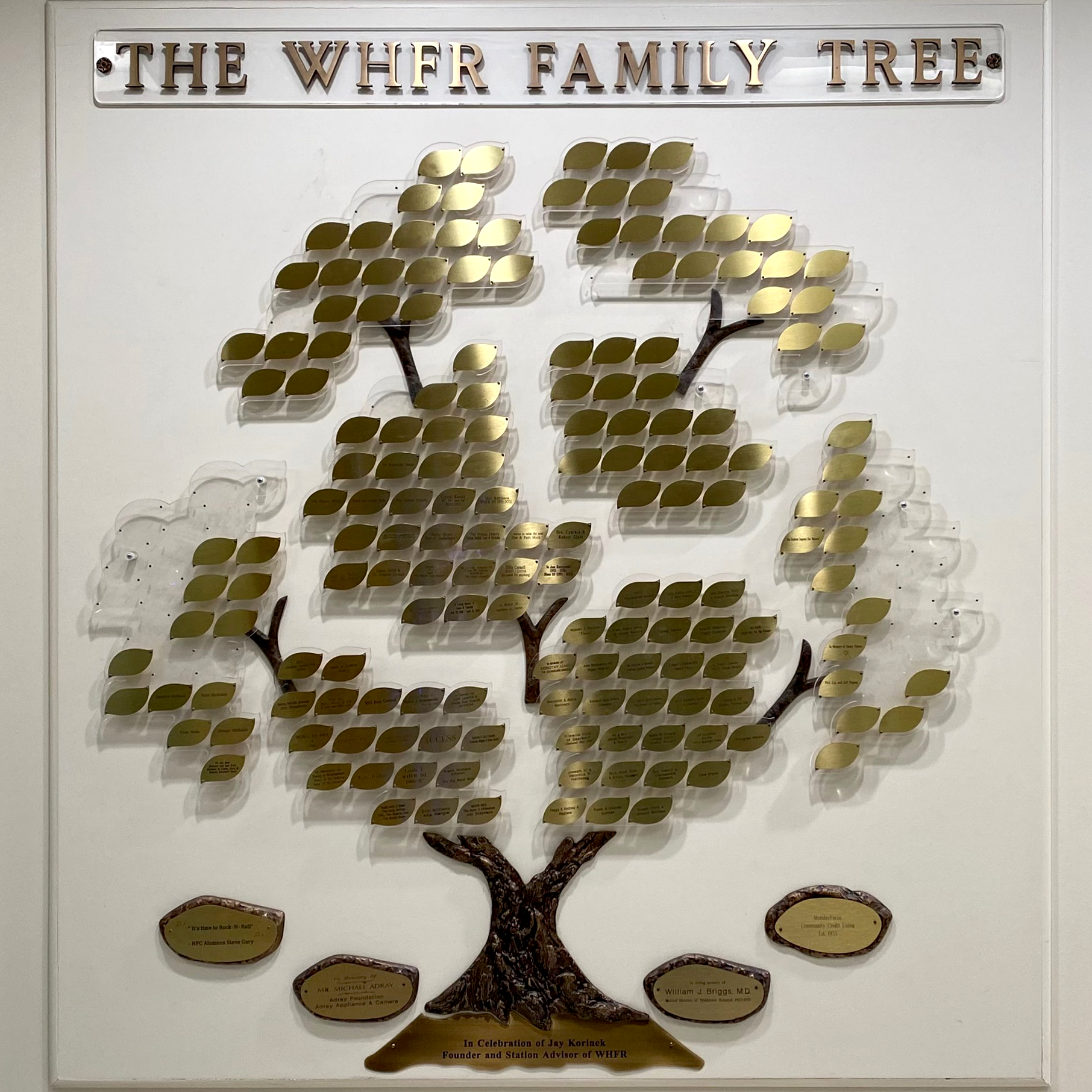 WHFR Family Tree